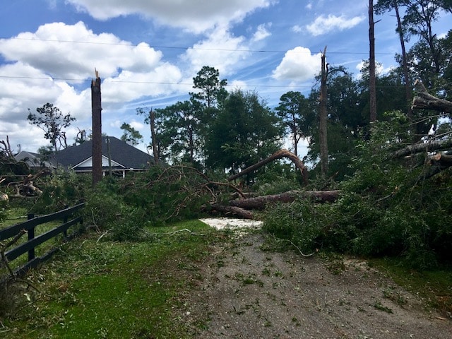 Broken Trees