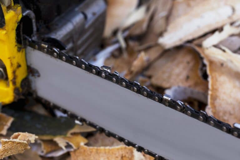 A close-up view of a chainsaw blade with sharp teeth, set against a backdrop of dried leaves.
